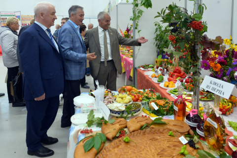 Фуат Сайфитдинов: конкурс садоводов скрашивает самоизоляцию пенсионеров