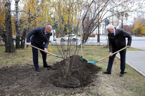 Депутаты Тюменской областной думы высадили молодые деревья