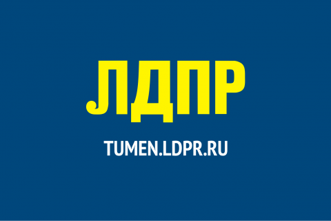 На Совете депутатов ЛДПР обсудили законопроекты и инициативное бюджетирование