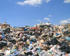 Услуга по сбору и вывозу твердых бытовых отходов перейдет из жилищной в коммунальную 