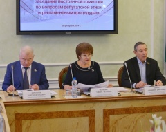 Состоялось очередное, двадцать девятое заседание  постоянной комиссии Тюменской областной Думы по вопросам депутатской этики и регламентным процедурам
