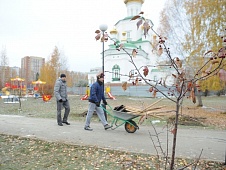 Законодатели областного парламента высадили яблони и ели в сквере Депутатов
